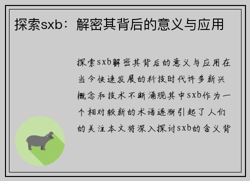 探索sxb：解密其背后的意义与应用