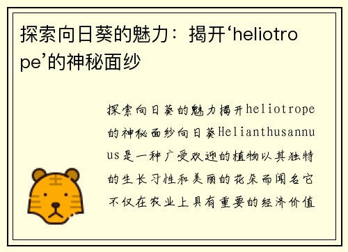 探索向日葵的魅力：揭开‘heliotrope’的神秘面纱